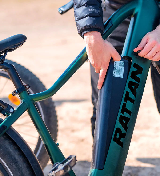 Rattan Pathfinder 750W 48V Mountain Electric Bike - Zoom