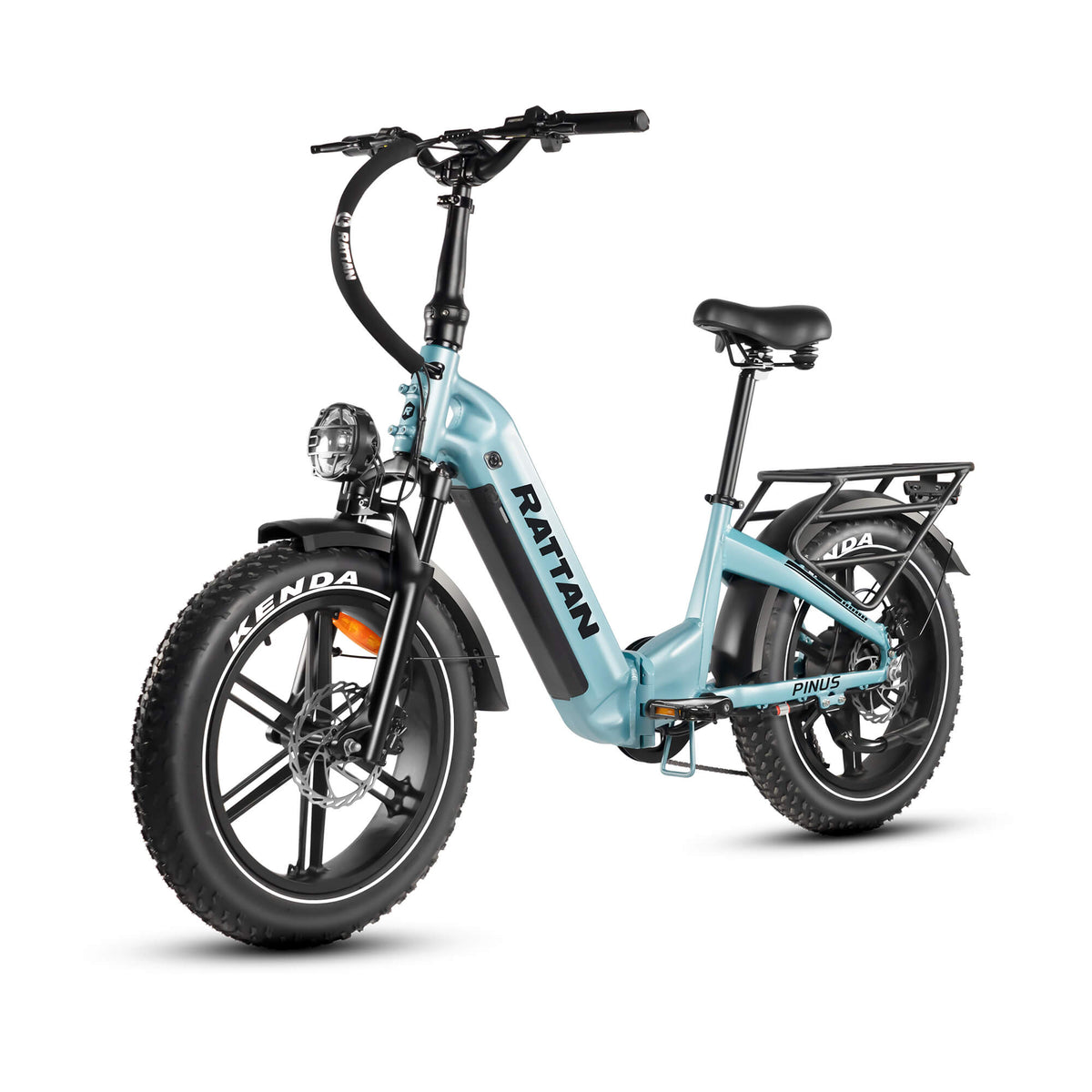 Blue Side Rattan Pinus 750W 48V Step Through Fat Tire Electric Bike