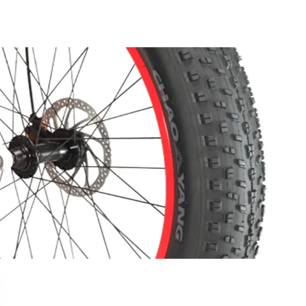 Senada Archon 1000W 48V 17.5Ah All Terrain Fat Tire Electric Mountain Bike Fat Tire