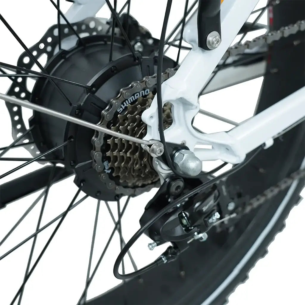 Senada Herald 1000W 48V 15Ah All Terrain Fat Tire Electric Mountain Bike Dearilleur