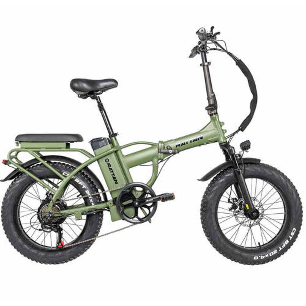 Rattan LM 750W 48V Folding Fat Tire Electric Bike - Green