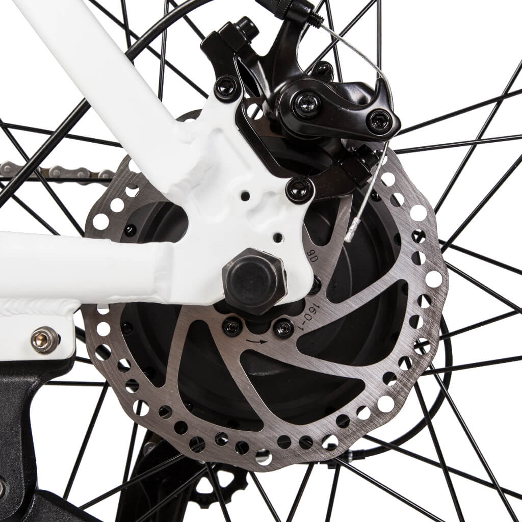 UL Certified - Ecotric Leopard 36V 500W Electric Mountain Bike