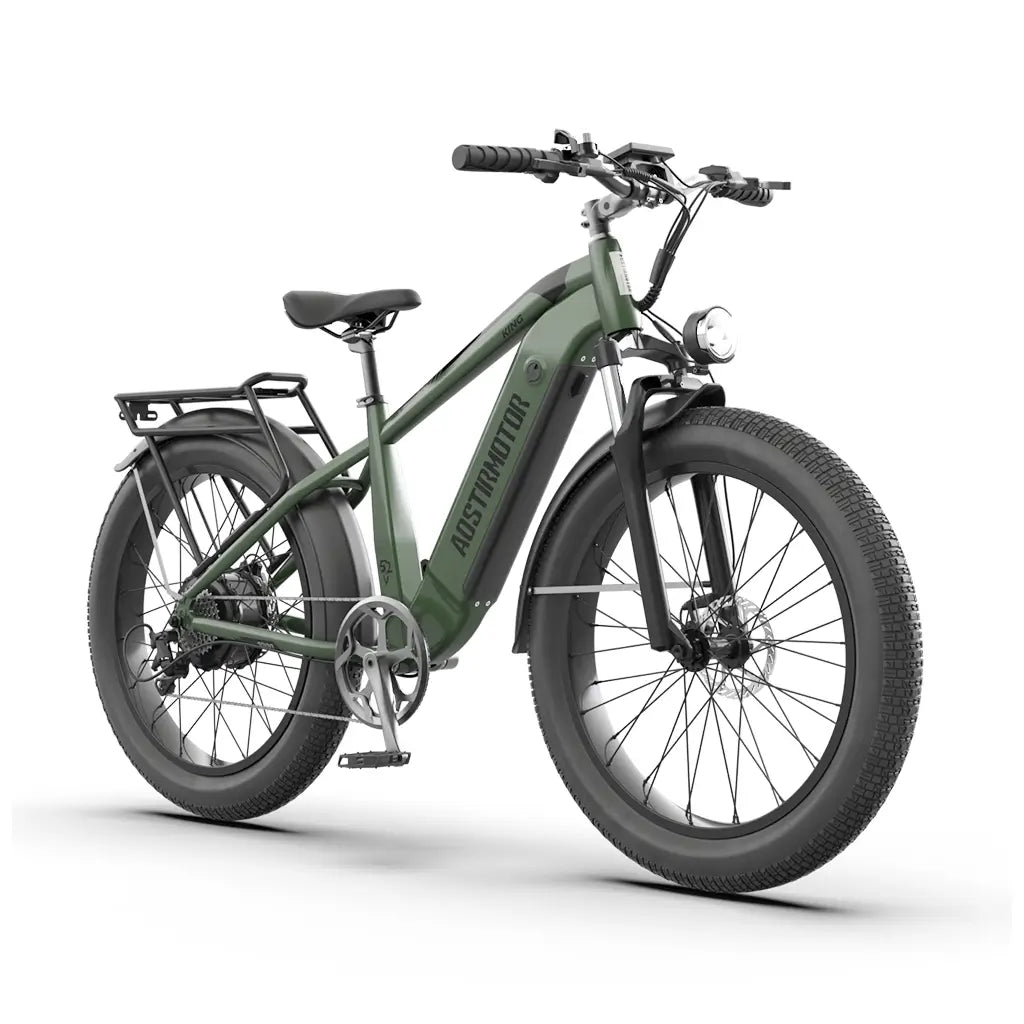 Aostirmotor King 1000W 52V All Terrain Fat Tire Mountain Electric Bike Aostirmotor King 1000W 52V All Terrain Fat Tire Mountain Electric Bike