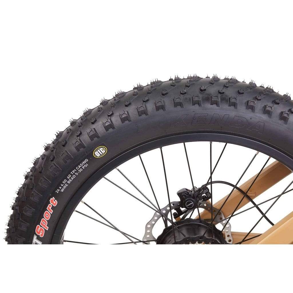 BIKONIT WARTHOG HD 750 All Terrain 750W 48V Fat Tire Electric Mountain Bike