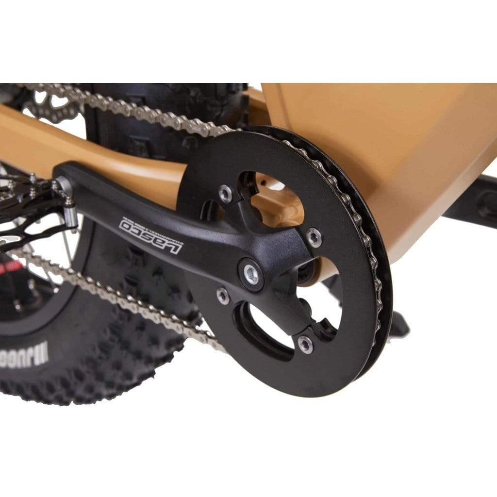 BIKONIT WARTHOG HD 750 All Terrain 750W 48V Fat Tire Electric Mountain Bike