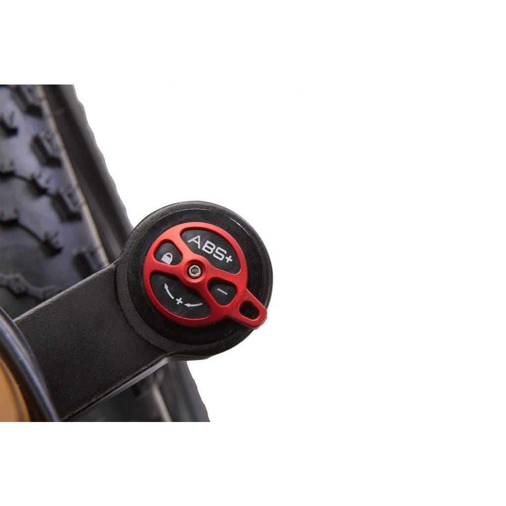 BIKONIT WARTHOG HD 750 All Terrain 750W 48V Fat Tire Electric Mountain Bike