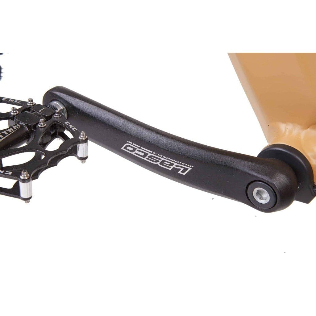 BIKONIT WARTHOG HD 750 All Terrain 750W 48V Fat Tire Electric Mountain Bike