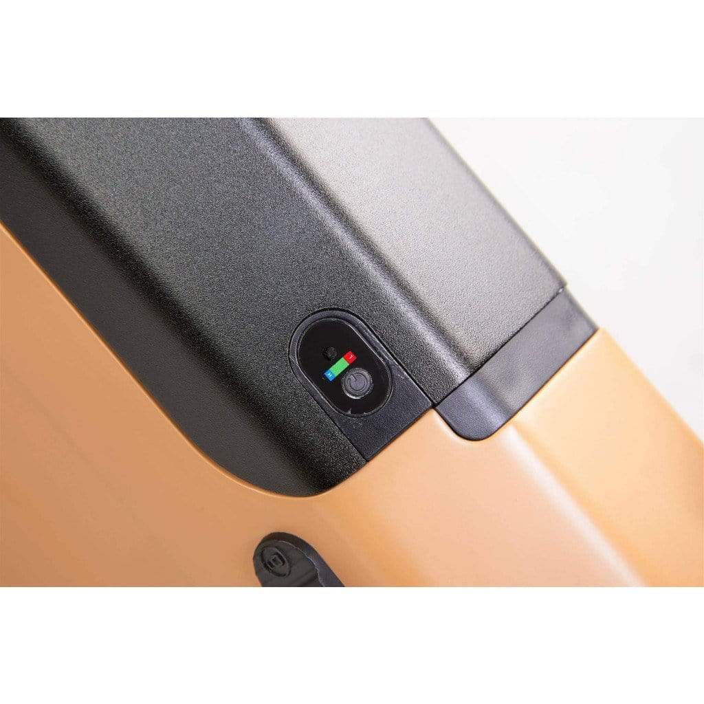 BIKONIT WARTHOG MD 1000W 48V Fat Tire Electric Mountain Bike