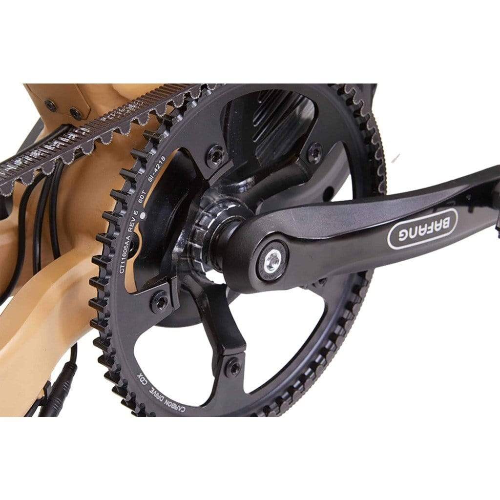 BIKONIT WARTHOG MD 1000W 48V Fat Tire Electric Mountain Bike