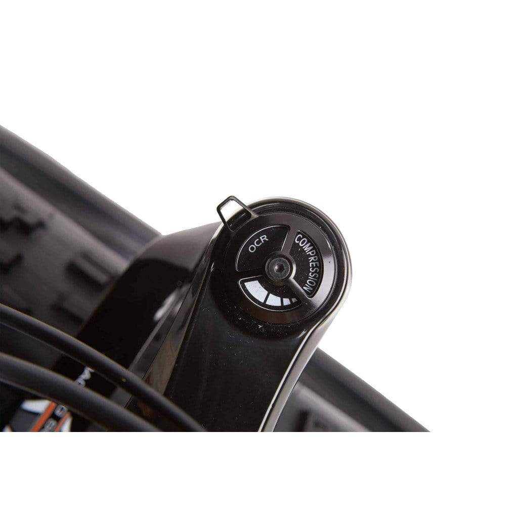 BIKONIT WARTHOG MD 1000W 48V Fat Tire Electric Mountain Bike