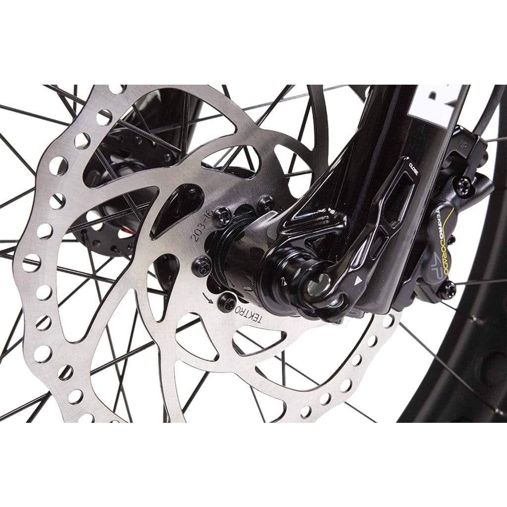 BIKONIT WARTHOG MD 1000W 48V Fat Tire Electric Mountain Bike