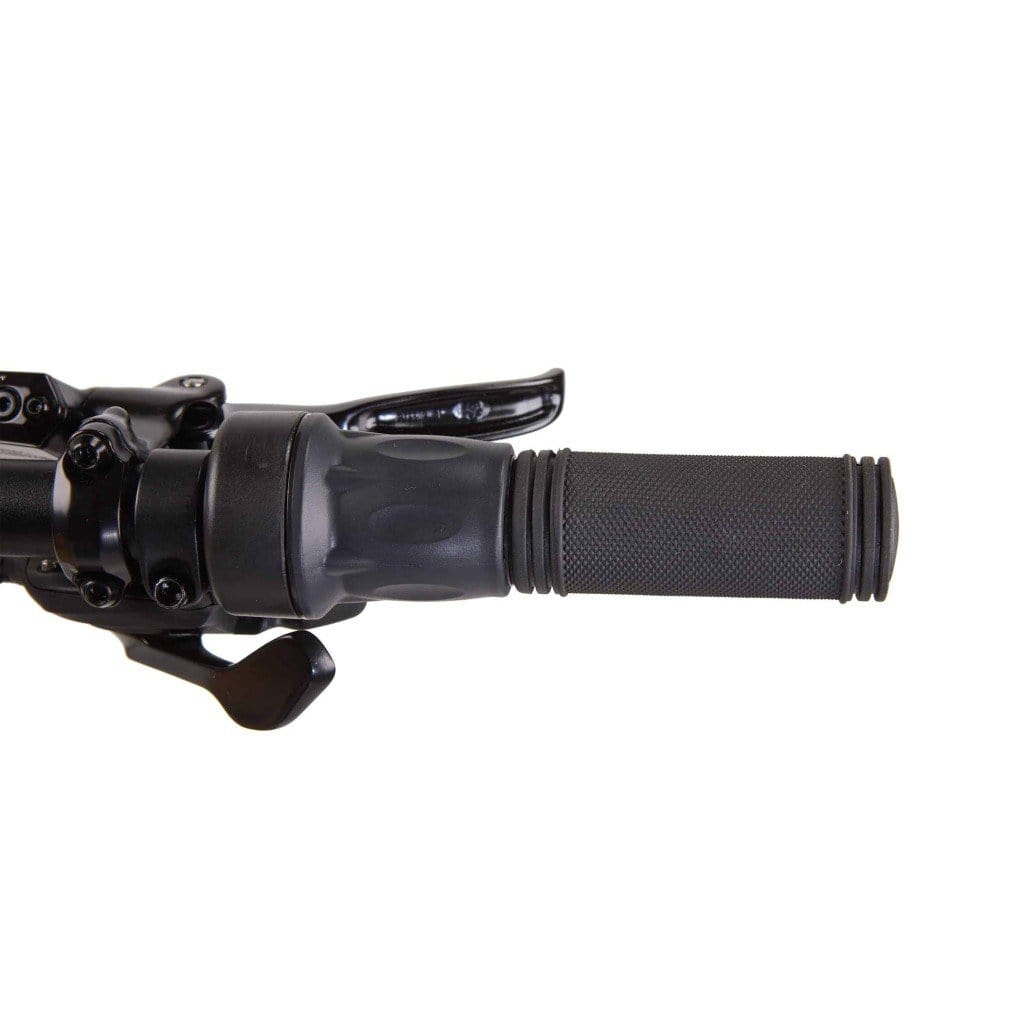 BIKONIT WARTHOG MD 1000W 48V Fat Tire Electric Mountain Bike