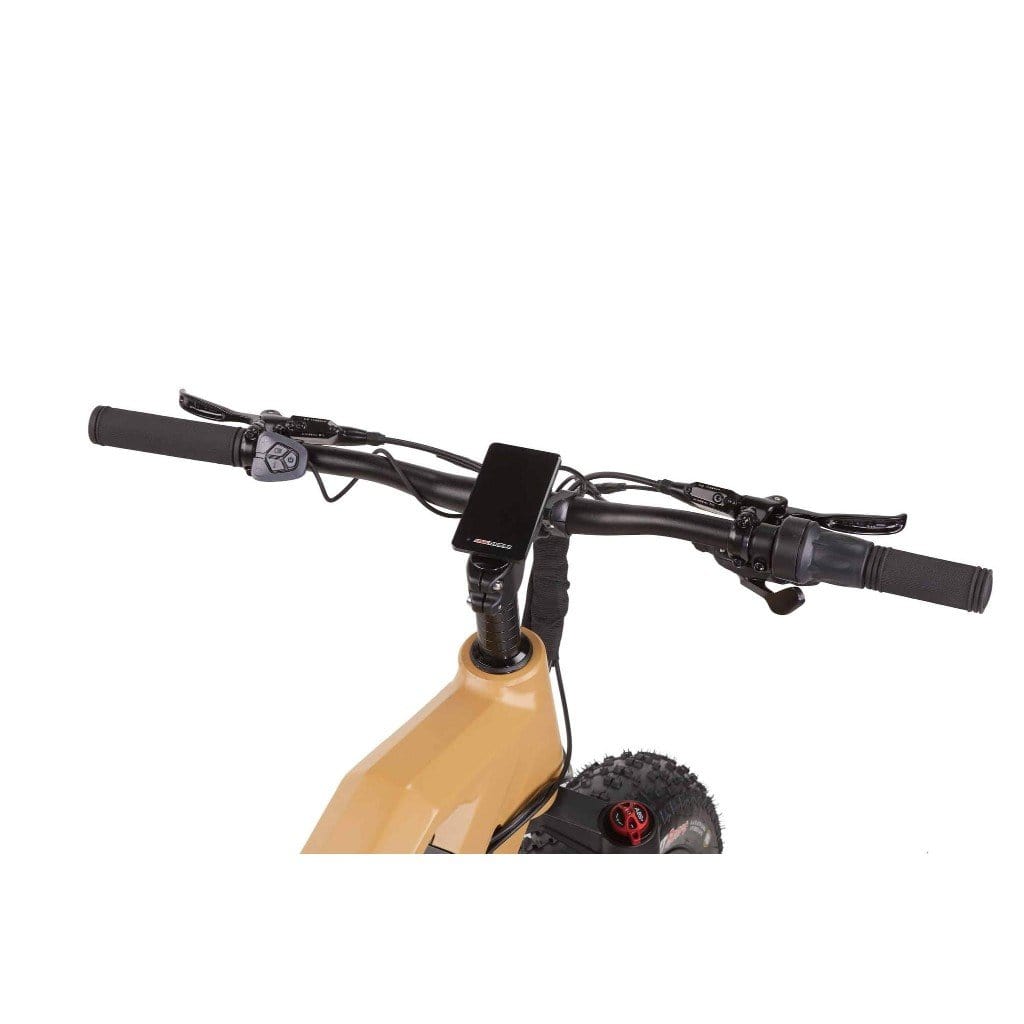 BIKONIT WARTHOG MD 1000W 48V Fat Tire Electric Mountain Bike