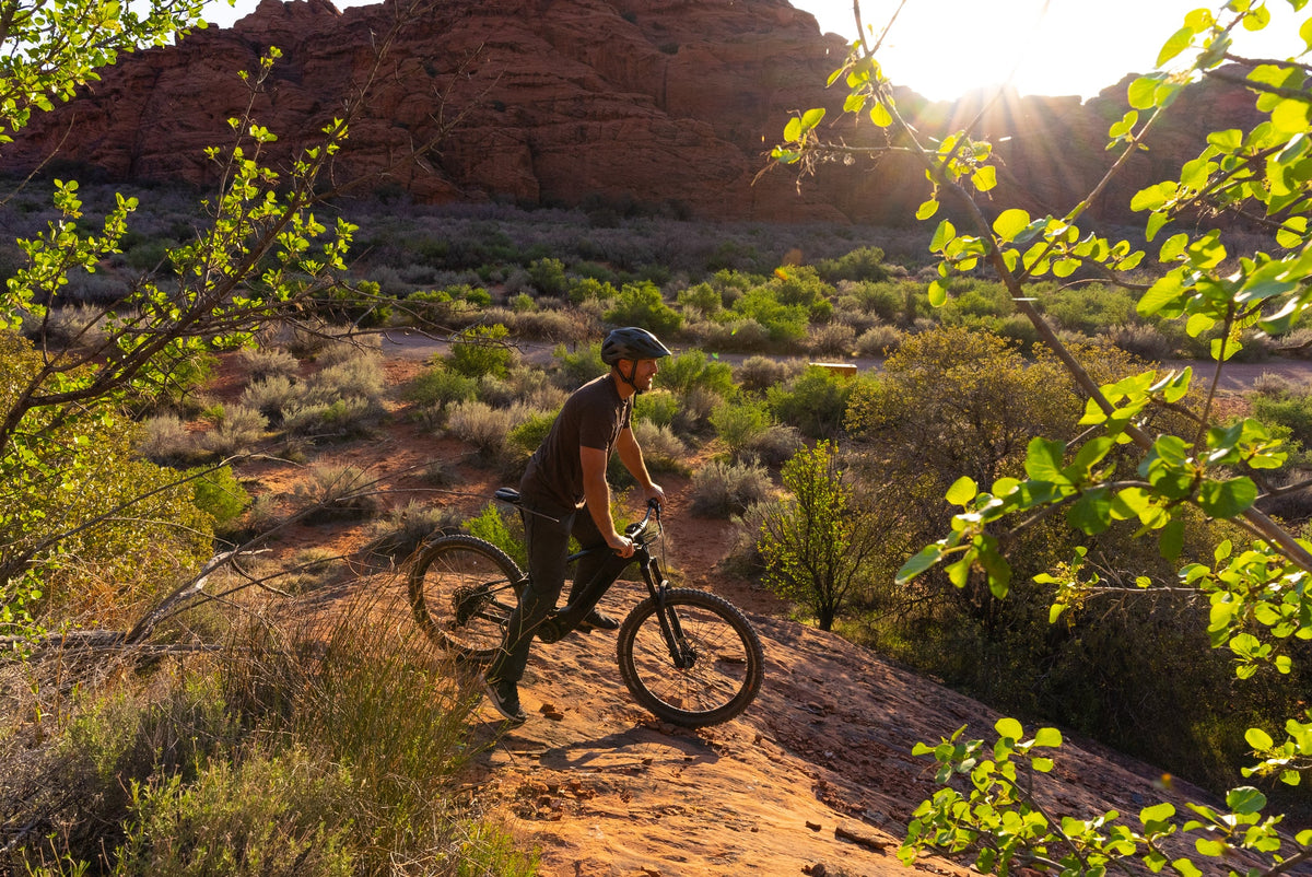 Bakcou Carbon Alpha 500W Mountain Electric Bike Outdoor