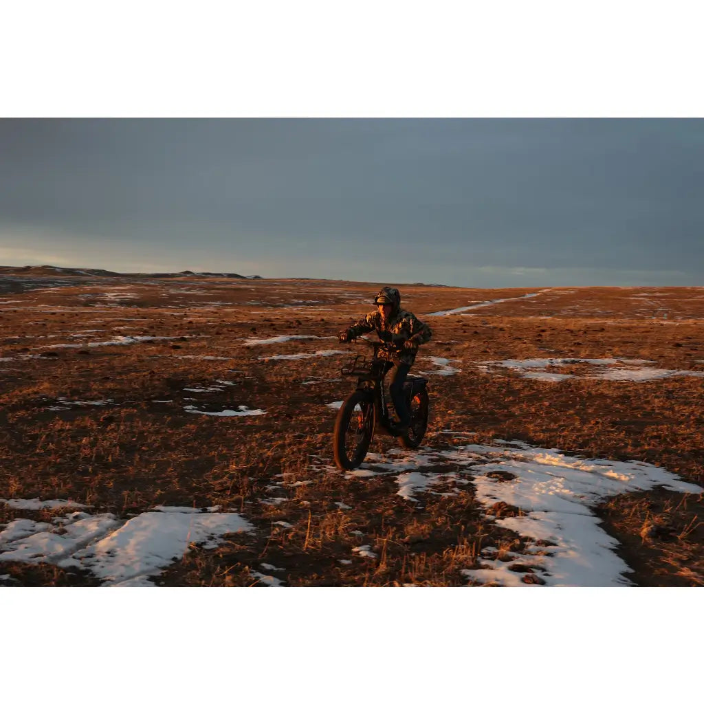 Bakcou Grizzly 1000W 48V Fat Tire Electric Scooter snow