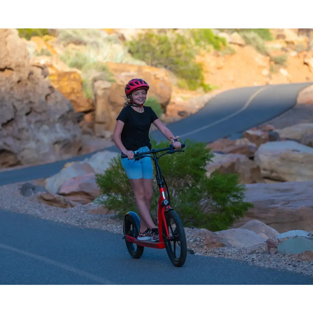 Bakcou Badger 350W 36V Electric Scooter