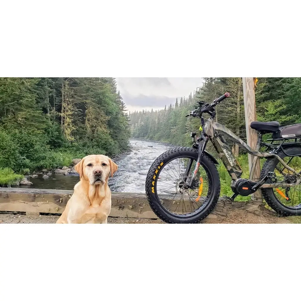 Bakcou Mule Elite Electric Hunting Bike