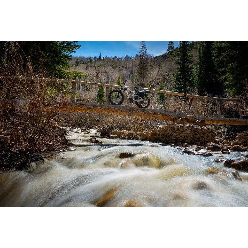 Bakcou Storm Full Suspension Fat Tire Electric Bike tan forest