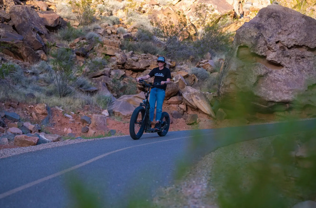 Bakcou Timberwolf 750W 48V Fat Tire Electric Scooter  road