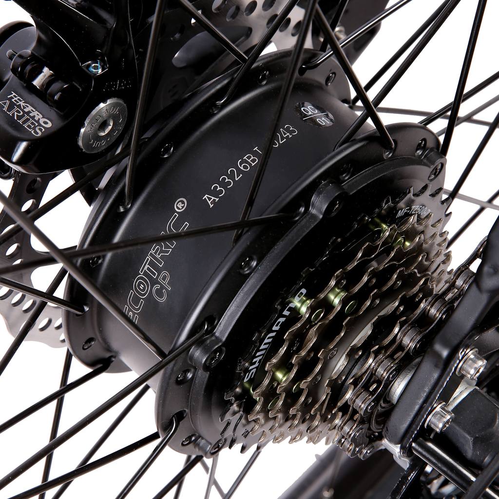 UL Certified - Ecotric Leopard 36V 500W Electric Mountain Bike