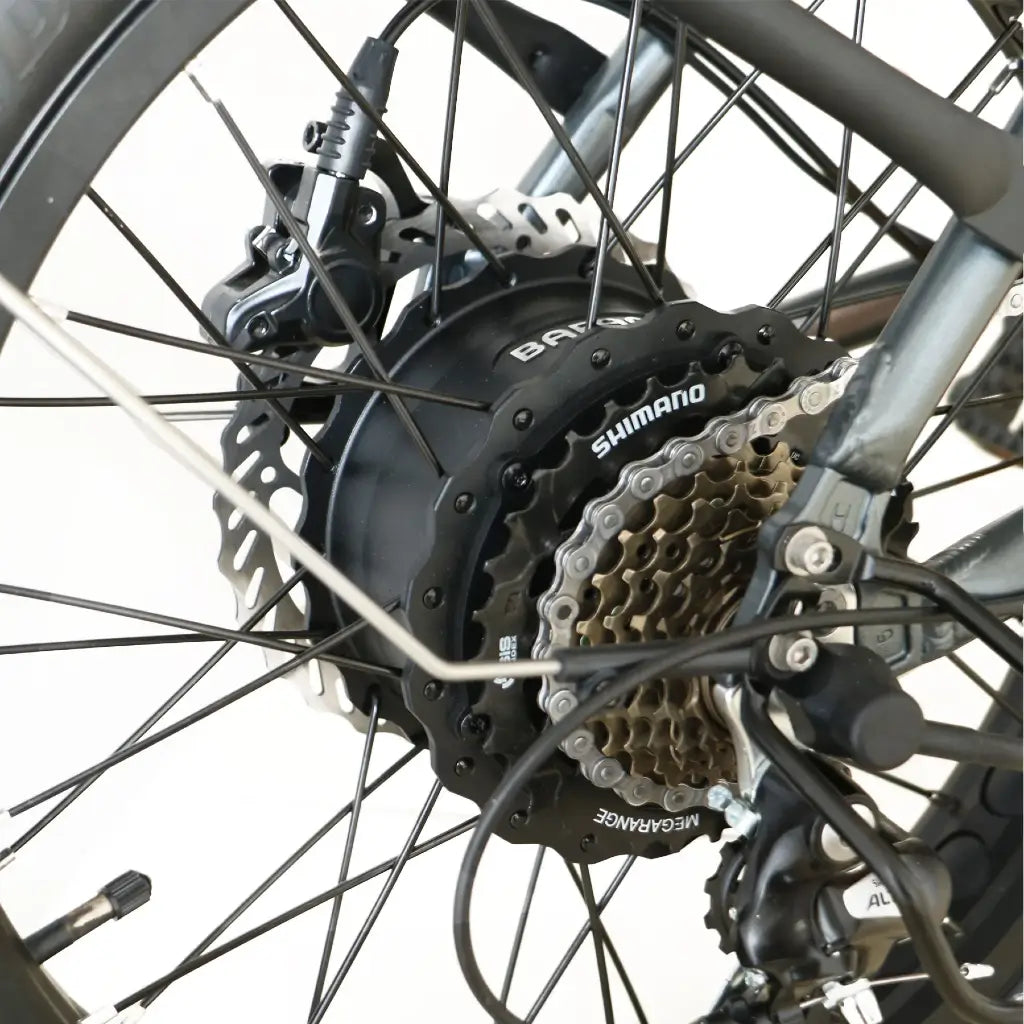 Coastal Cruiser 750W 48V Fat Tire Step-Thru Foldin Electric Bike Gear