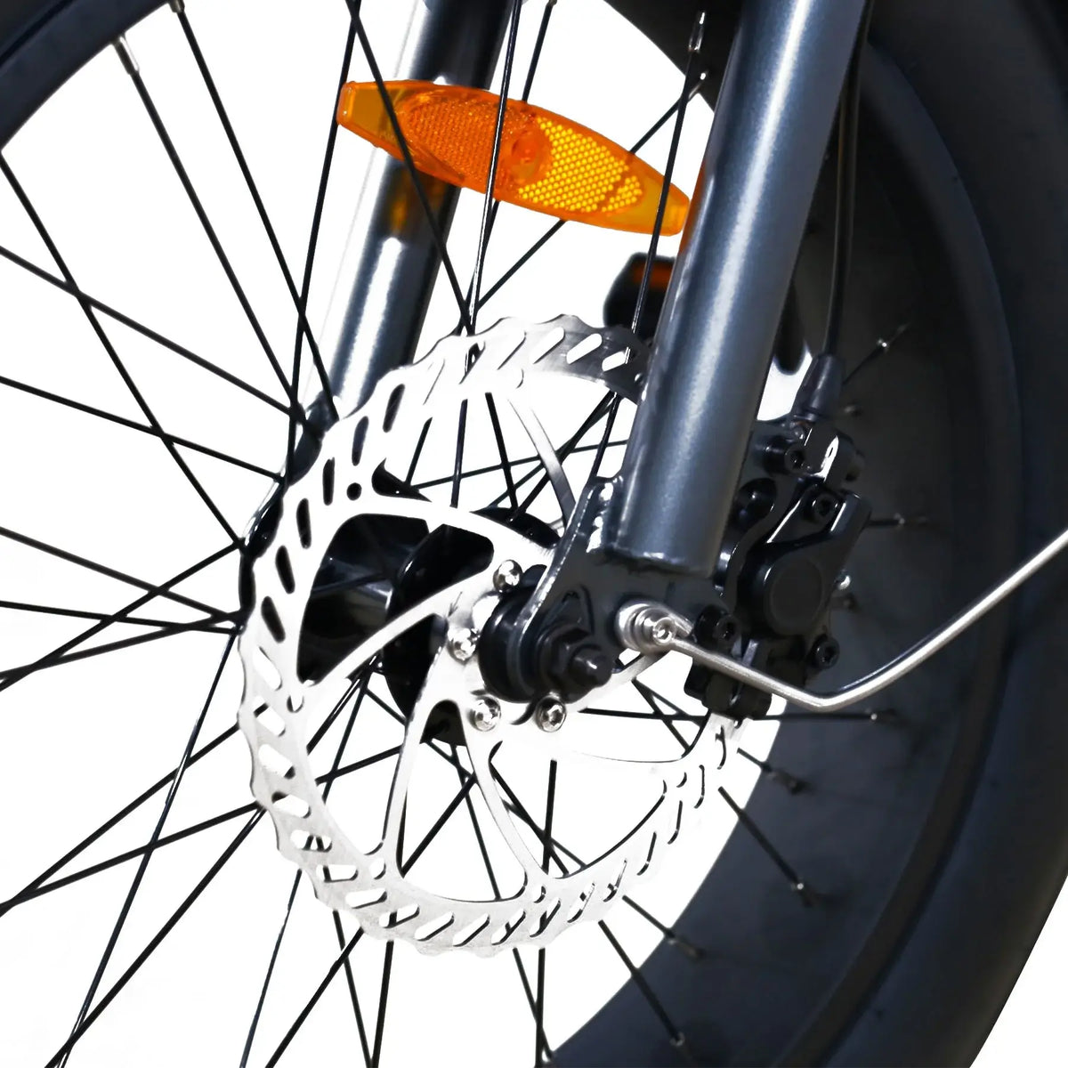 Coastal Cruiser Beach Cruiser 750W 52V 24x3 Step-Thru Electric Bike Disc Brake