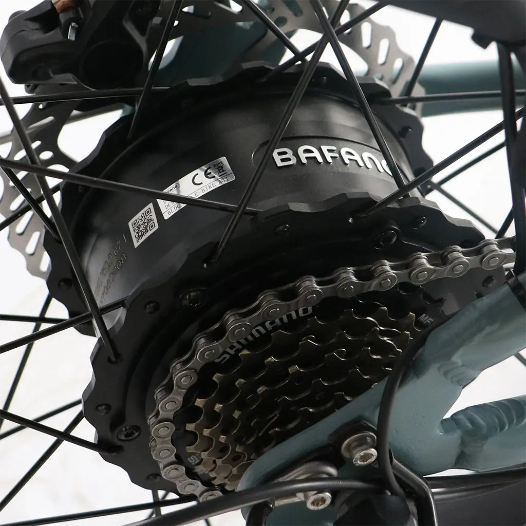 Coastal Cruiser Classic Beach Cruiser 750W 52V 24x3 Step Over Electric Bike Rear Hub Motor