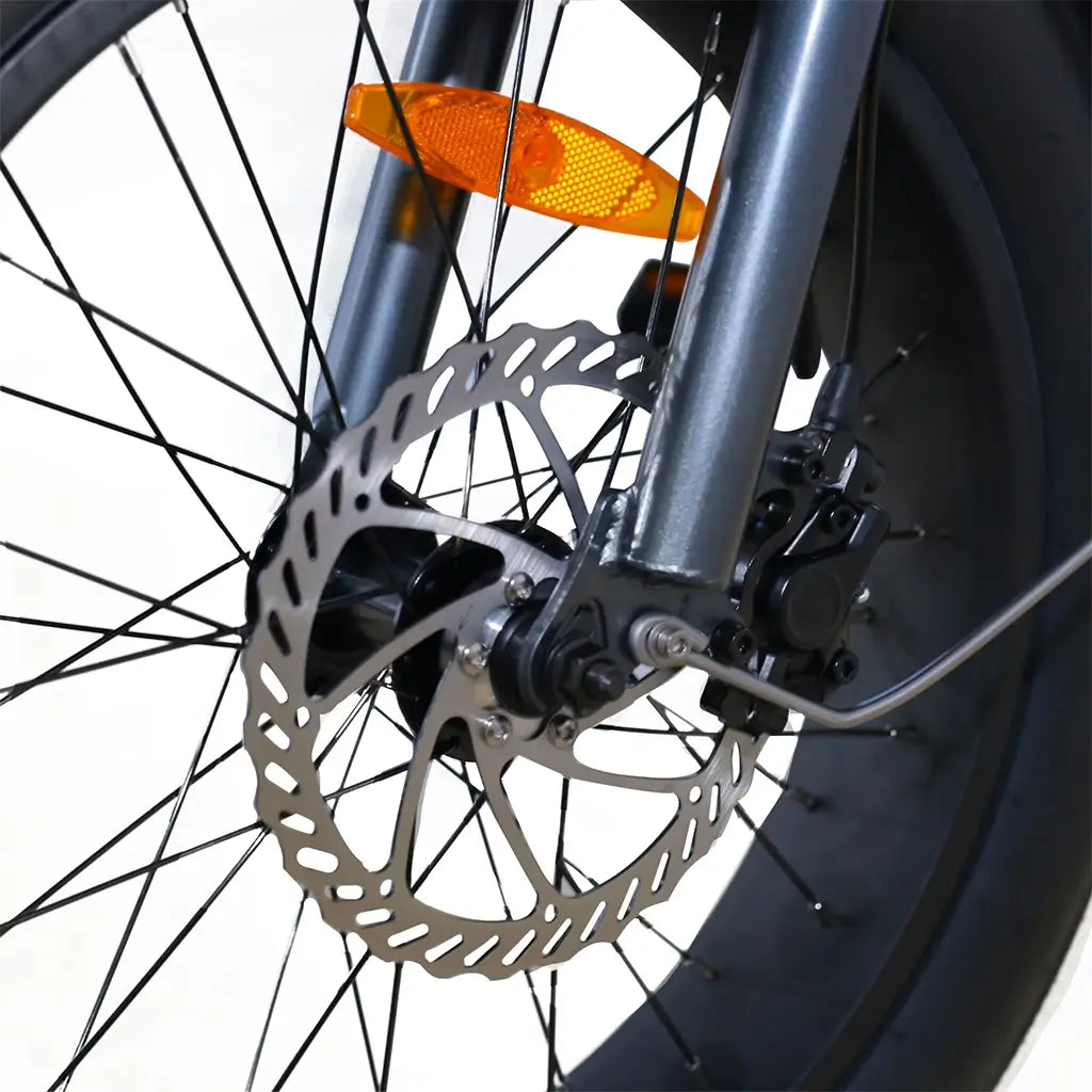 Coastal Cruiser Classic Beach Cruiser 750W 52V 24x3 Step Over Electric Bike Front Disk Break