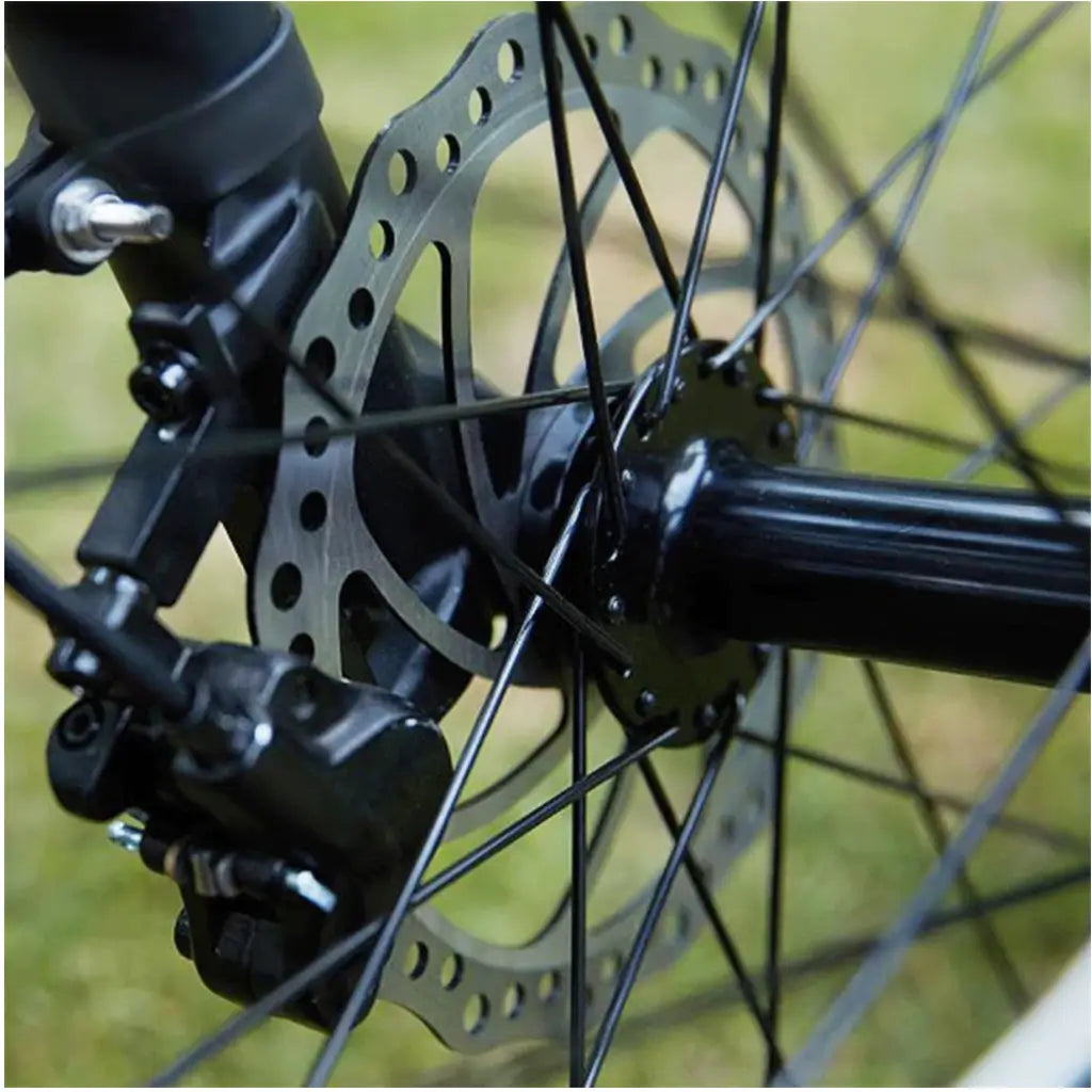 Dirwin Pacer 500W 48V Step Through Commuter Electric Bike Disc Break