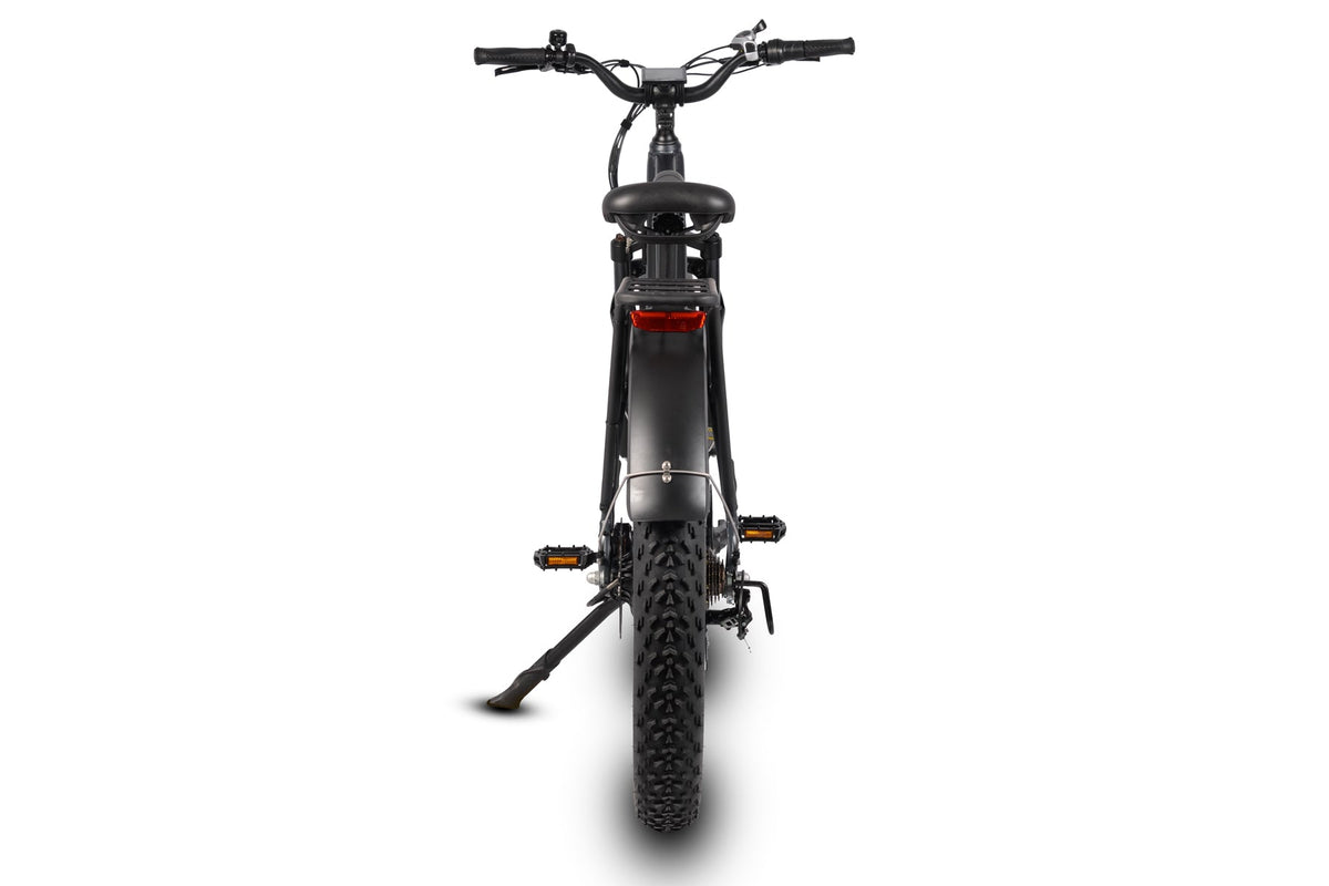 Dirwin Pioneer 750W 48V All-Terrain Fat Tire Electric Bike