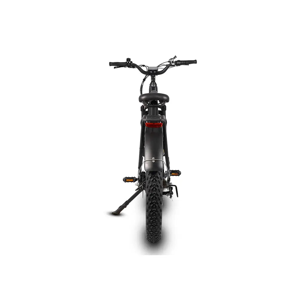 Dirwin Pioneer Step-Thru 750W 48V All-Terrain Fat Tire Electric Bike Rear View