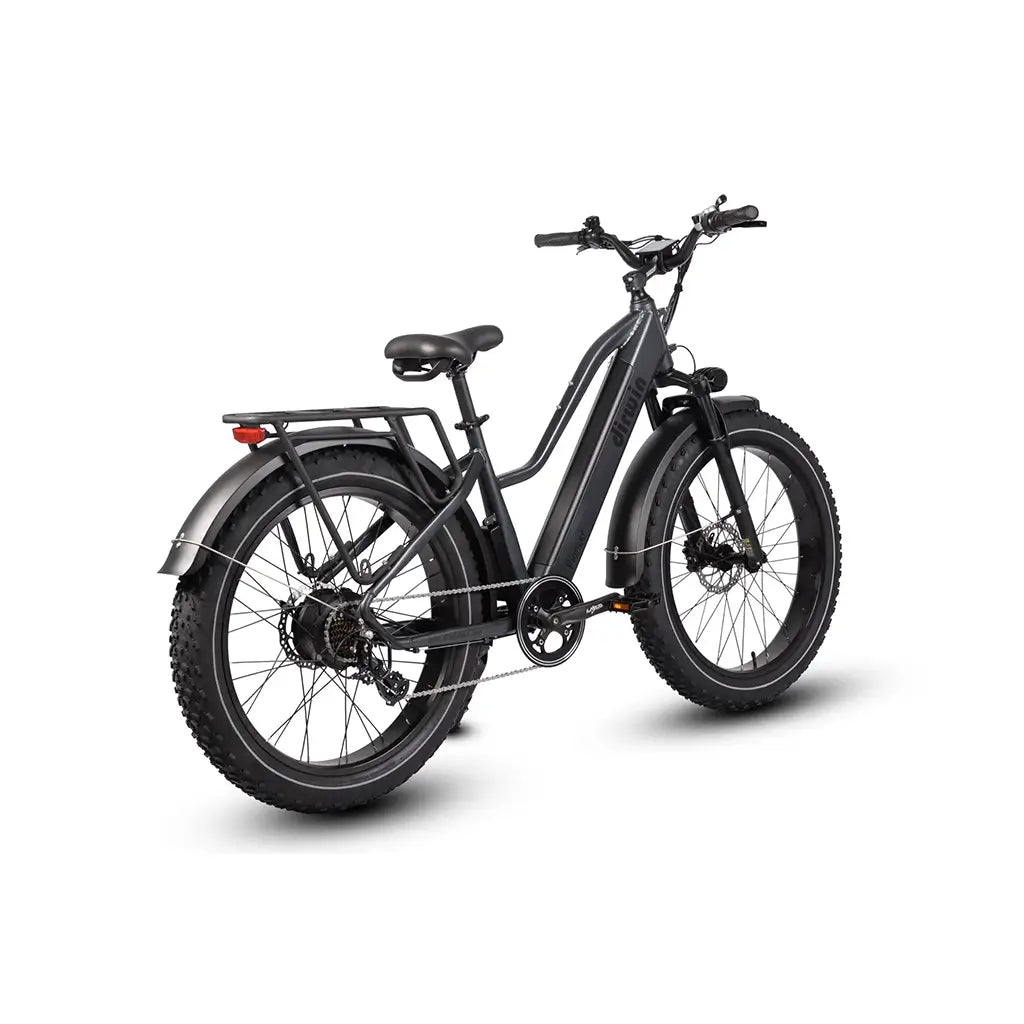 Dirwin Pioneer Step-Thru 750W 48V All-Terrain Fat Tire Electric Bike Gray Rear Slant