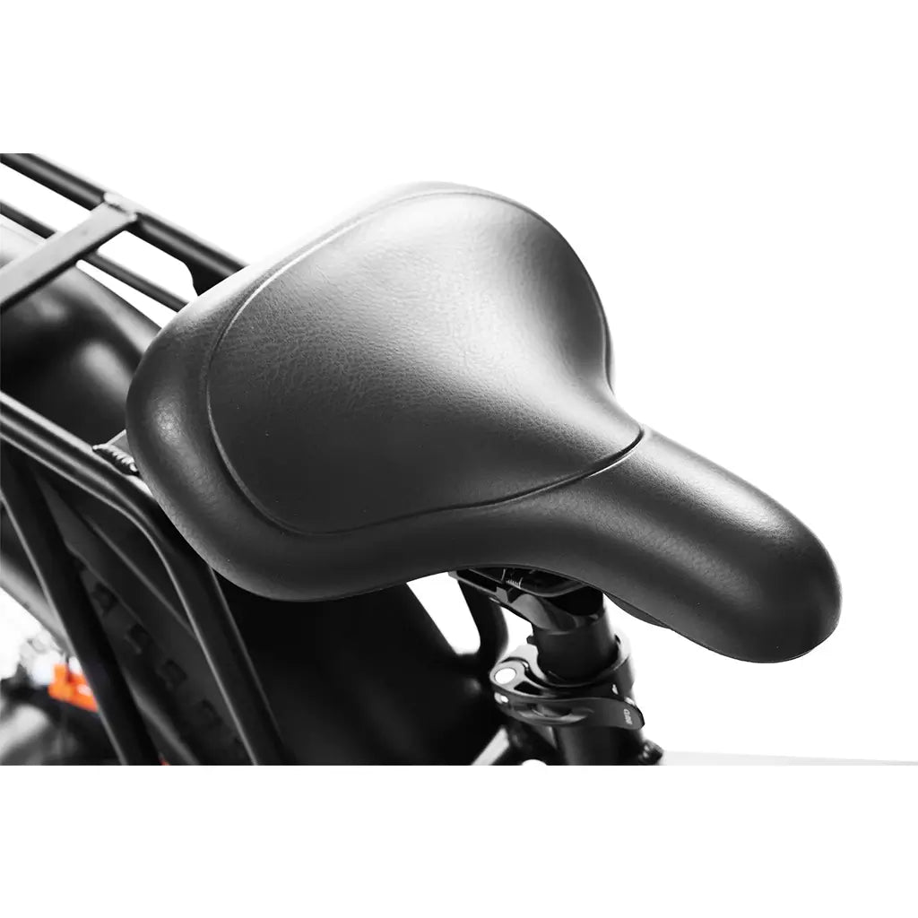 Dirwin Pioneer Step-Thru 750W 48V All-Terrain Fat Tire Electric Bike Seat