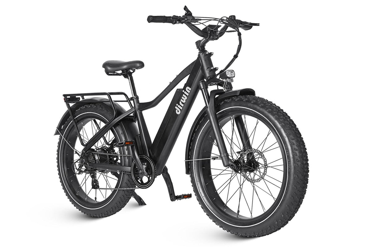 Dirwin Seeker 750W 48V All-Terrain Fat Tire Electric Bike