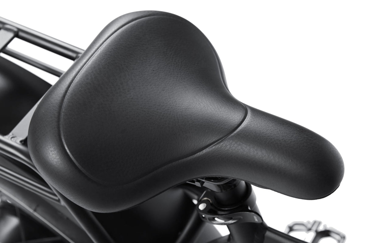 Dirwin Seeker 750W 48V All-Terrain Fat Tire Electric Bike