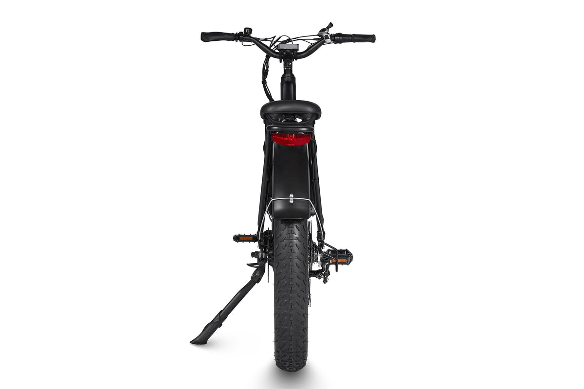 Dirwin Seeker 750W 48V All-Terrain Fat Tire Electric Bike Rear View