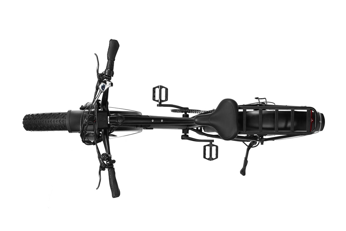 Dirwin Seeker 750W 48V All-Terrain Fat Tire Electric Bike