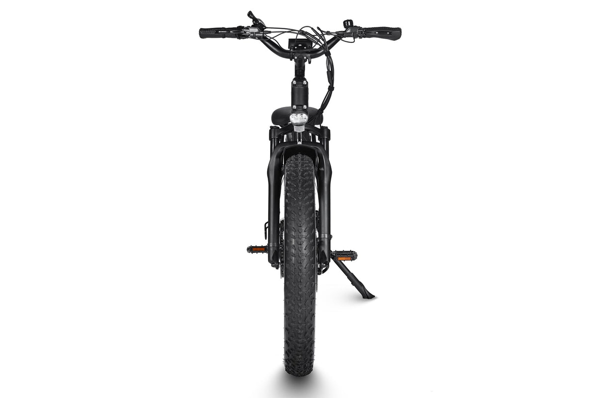 Dirwin Seeker 750W 48V All-Terrain Fat Tire Electric Bike