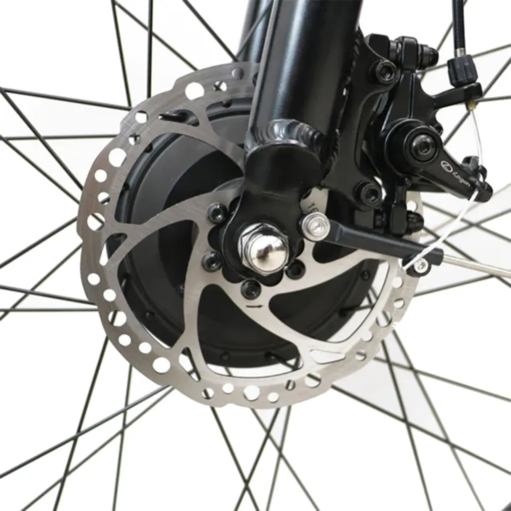 EUNORAU FAT-AWD All Wheel Drive 48V, 250W+350W Commuter Fat Tire Electric Bike Disc Brake