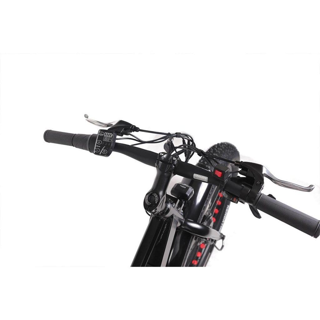 EUNORAU FAT-AWD All Wheel Drive 48V, 250W+350W Fat Tire Electric Bike