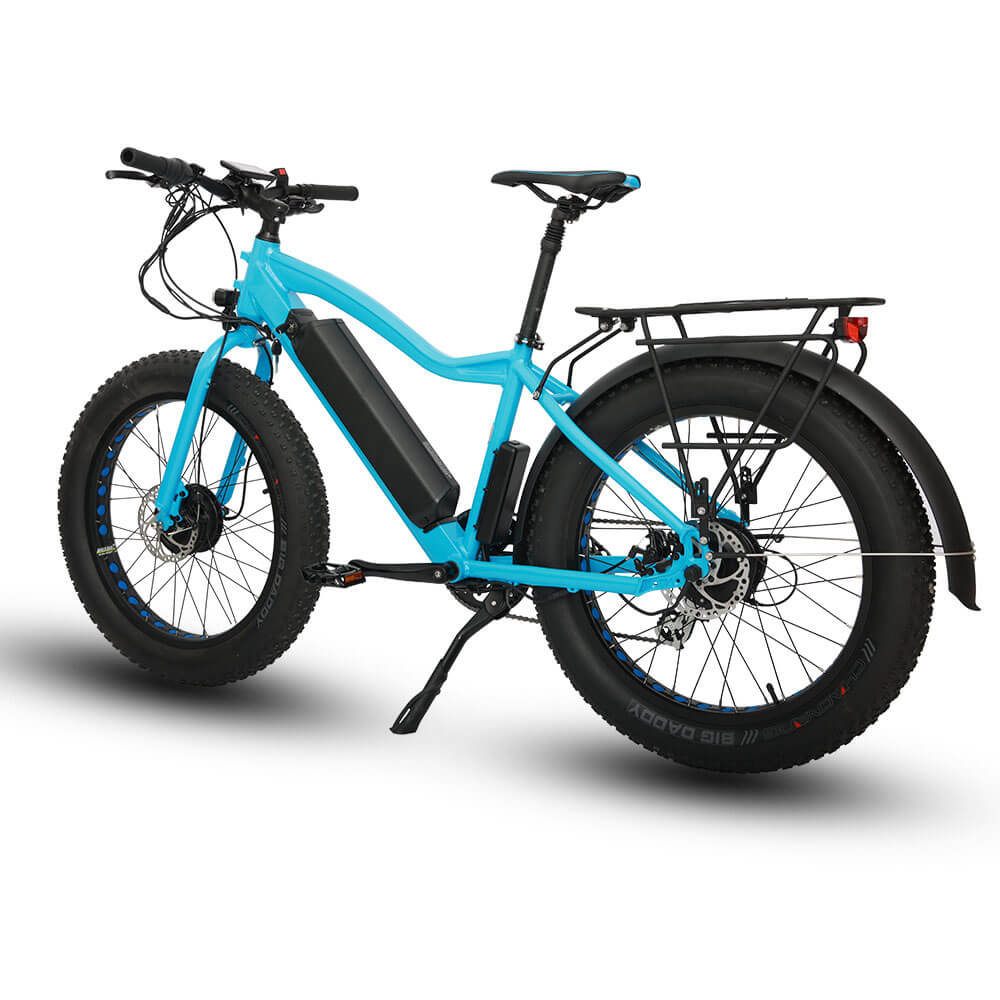EUNORAU FAT-AWD All Wheel Drive 48V, 250W+350W Fat Tire Electric Bike