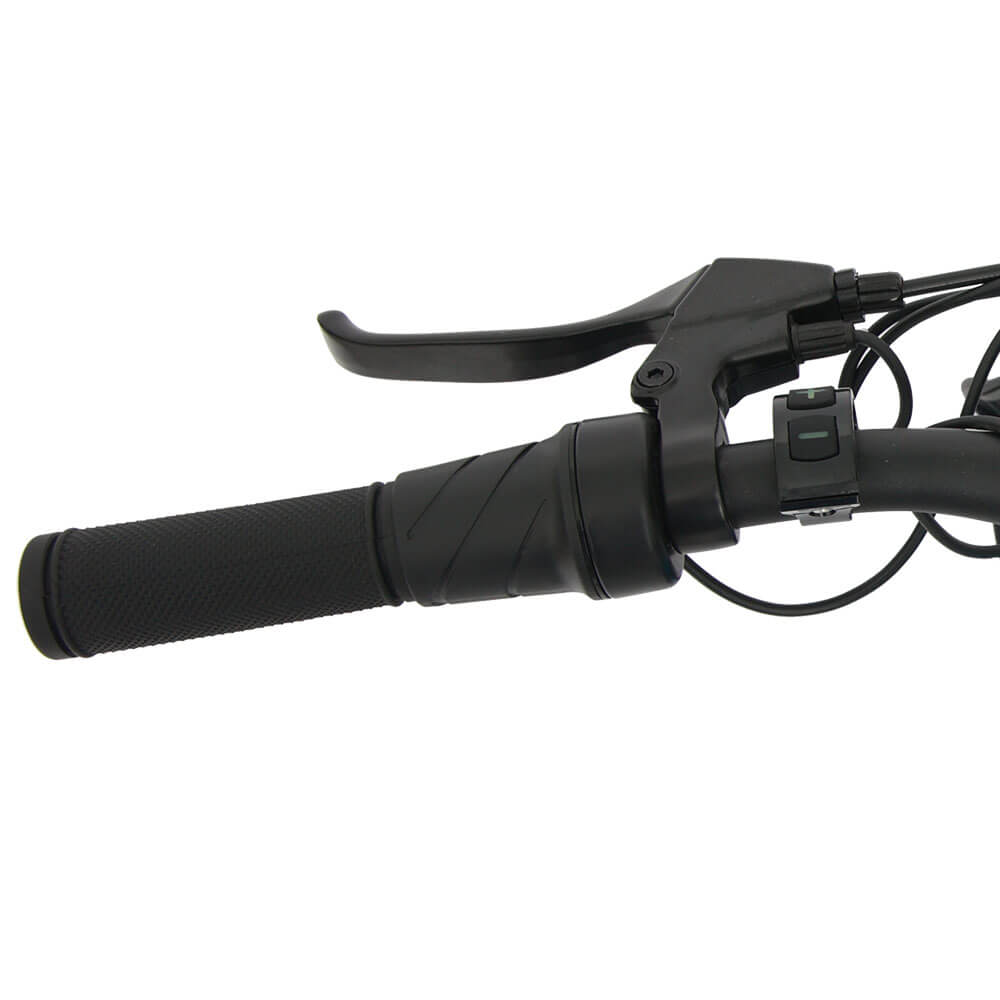 EUNORAU FAT-AWD All Wheel Drive 48V, 250W+350W Fat Tire Electric Bike