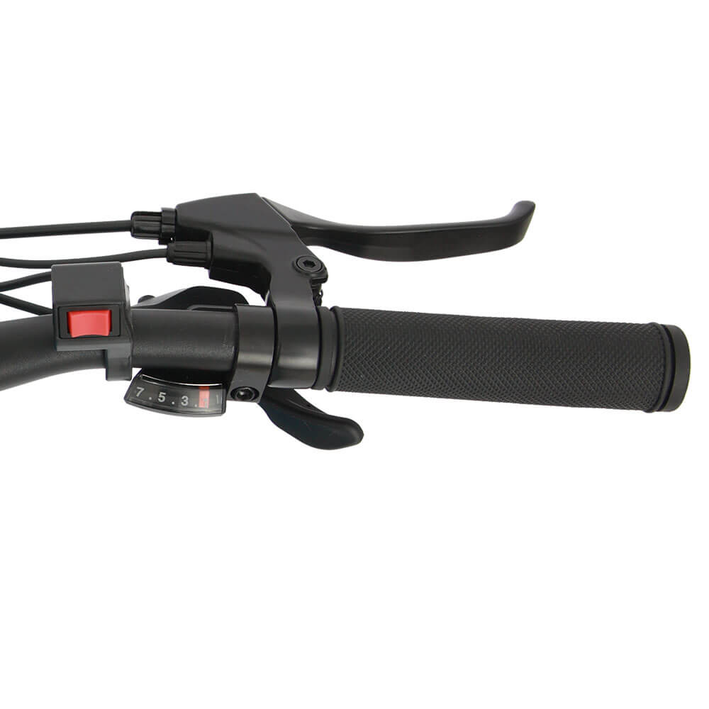 EUNORAU FAT-AWD All Wheel Drive 48V, 250W+350W Fat Tire Electric Bike