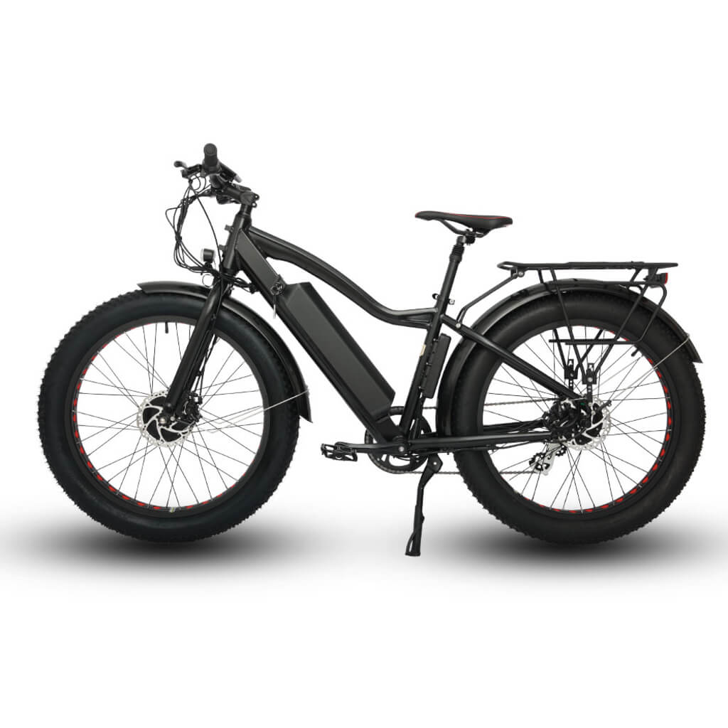 EUNORAU FAT-AWD All Wheel Drive 48V, 250W+350W Fat Tire Electric Bike