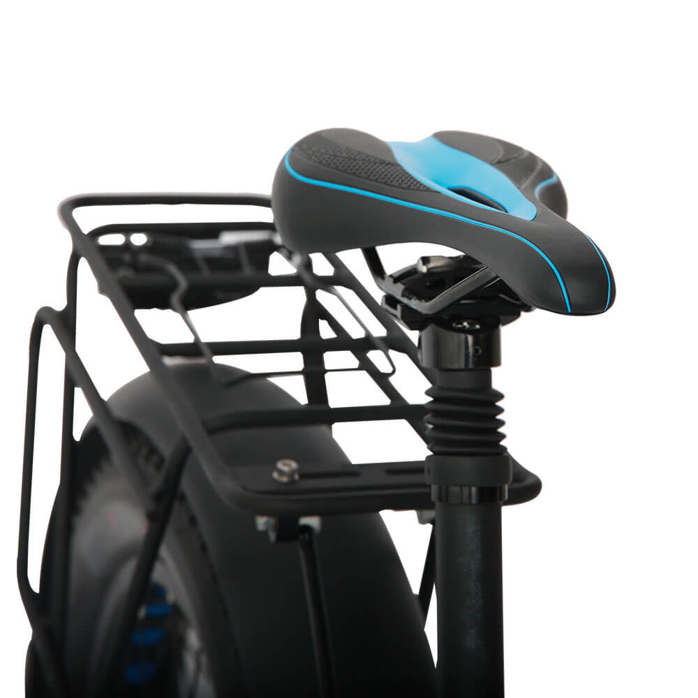 EUNORAU FAT-AWD All Wheel Drive 48V, 250W+350W Fat Tire Electric Bike