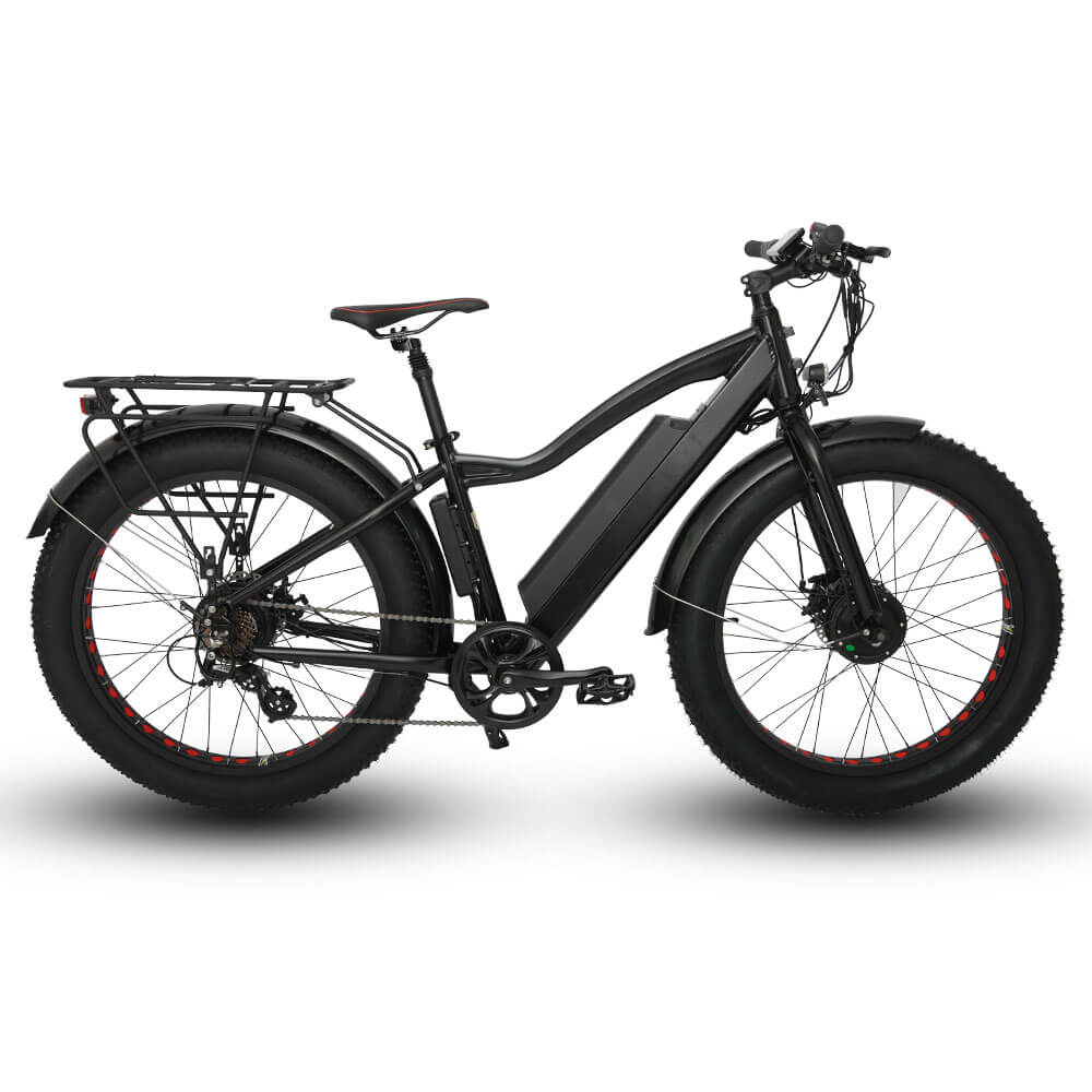 EUNORAU FAT-AWD All Wheel Drive 48V, 250W+350W Fat Tire Electric Bike