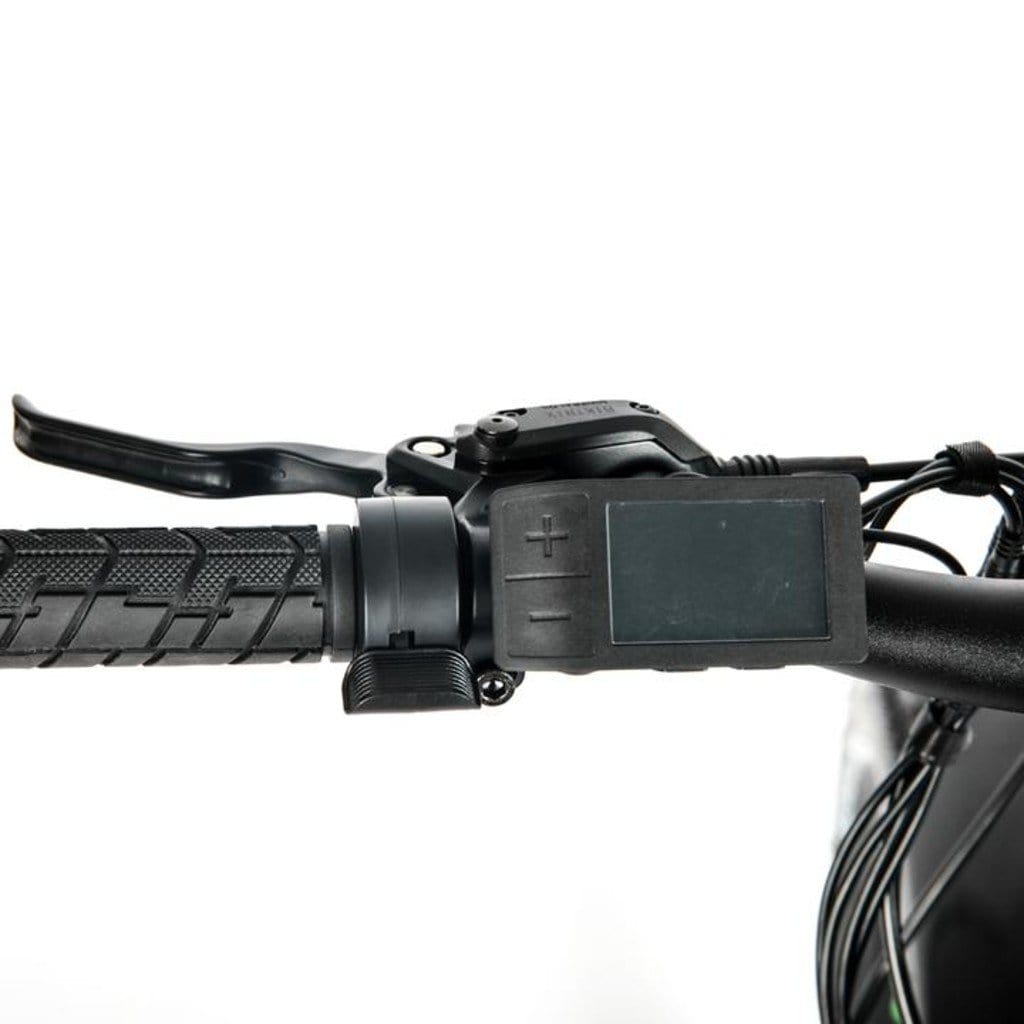 EUNORAU FAT-HD 1000W 48V Fat Tire Mountain Electric Bike