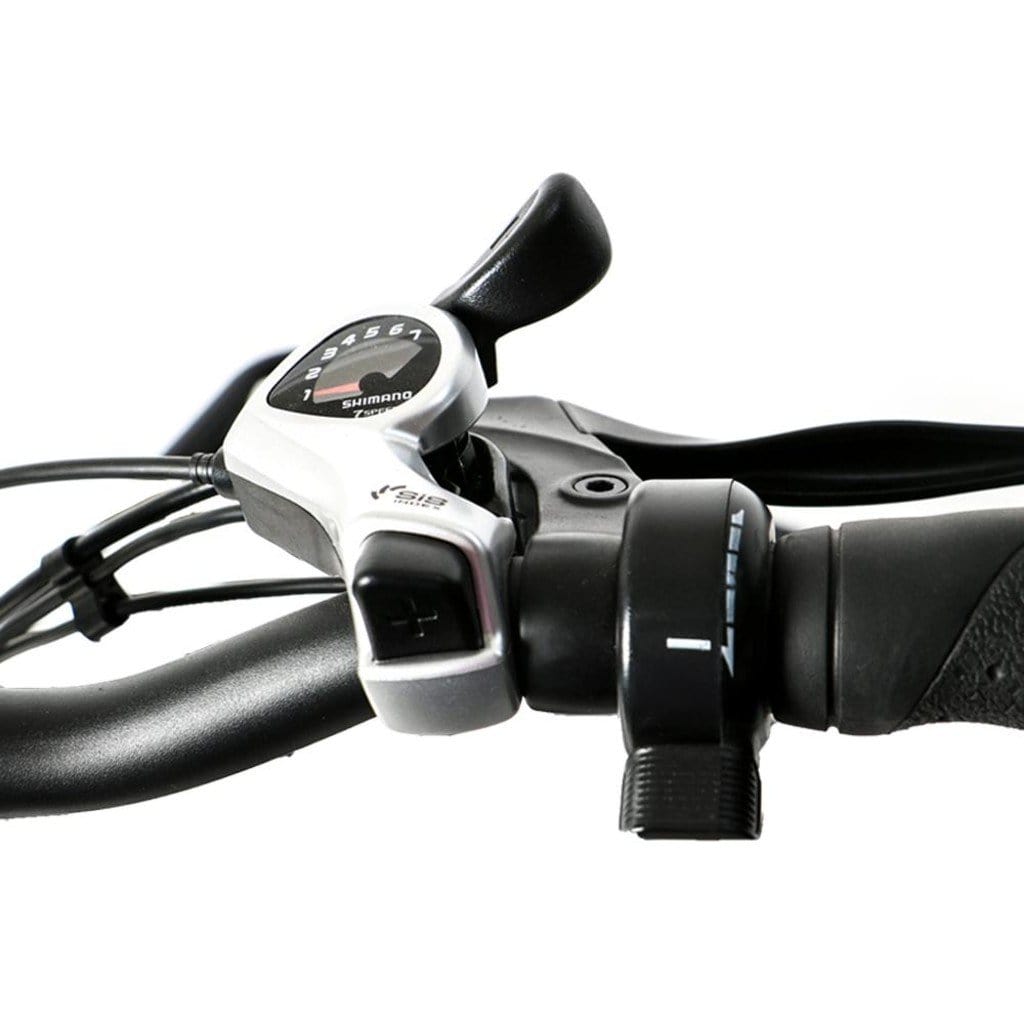 Max best sale cargo ebike