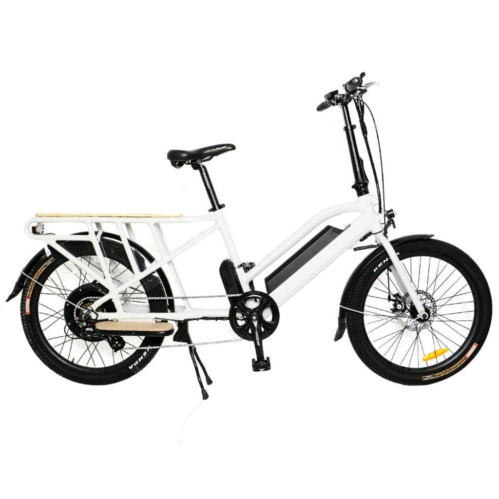 EUNORAU MAX-CARGO 750W/ 48V/ Cargo/ Commuter Electric Bike