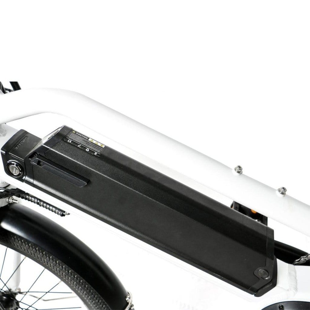EUNORAU MAX CARGO Cargo 750W 48V Cargo Electric Bike Zoom